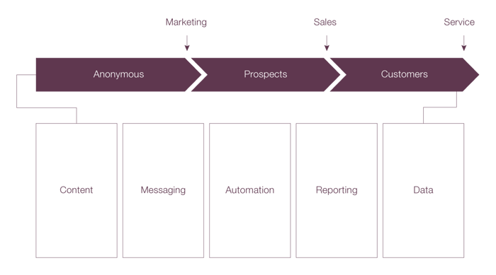 fractional cmo services