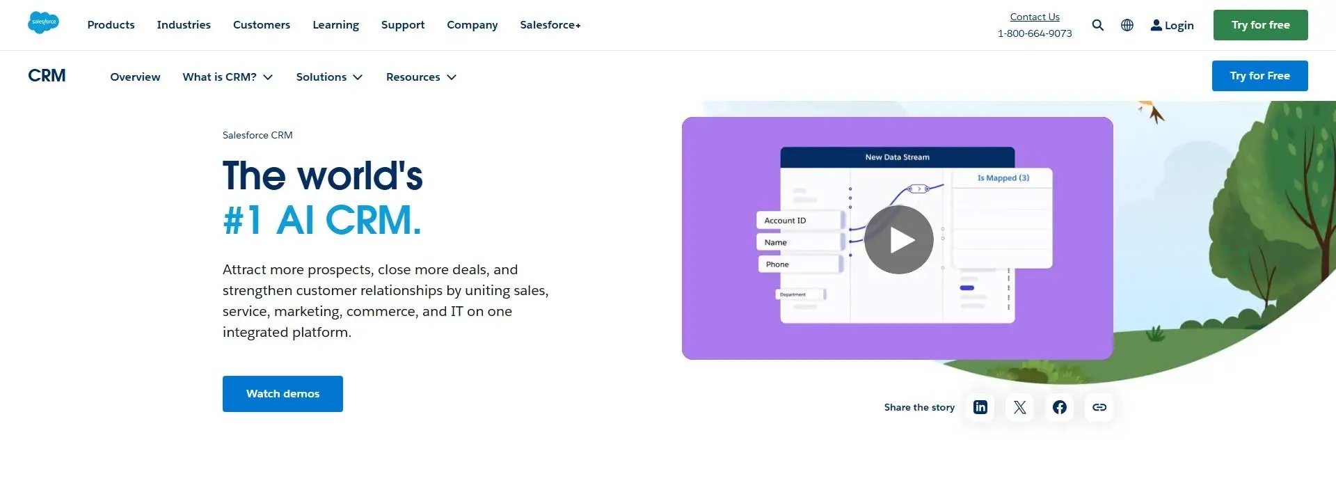 Salesforce-CRM